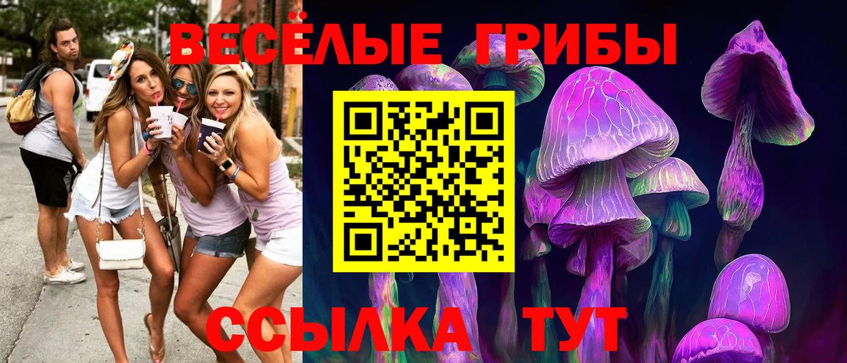 Псилоцибиновые грибы Psilocybine cubensis Архангельск
