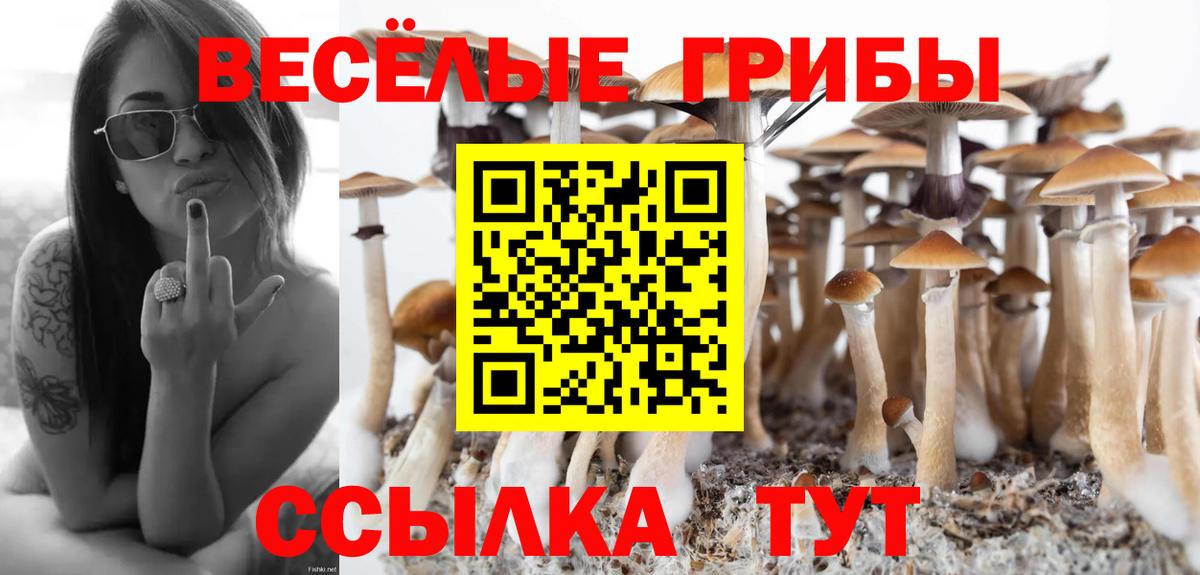 Архангельск  Галлюциногенные грибы мухоморы  закладки  Вход с VPN 